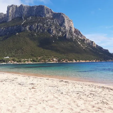 Apartamento Porto Coda Cavallo Loft *